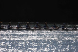 Regatta-5001.jpg