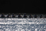 Regatta-5004.jpg