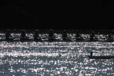 Regatta-5007.jpg