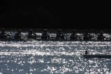 Regatta-5009.jpg
