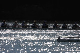 Regatta-5010.jpg