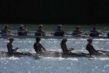 Regatta-5030.jpg