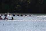 Regatta-5033.jpg