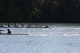 Regatta-5036.jpg