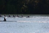 Regatta-5037.jpg