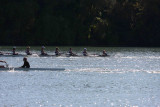Regatta-5038.jpg