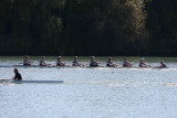 Regatta-5050.jpg