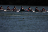 Regatta-5102.jpg