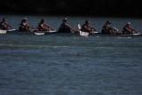 Regatta-5103.jpg