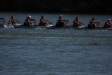 Regatta-5106.jpg