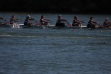 Regatta-5107.jpg