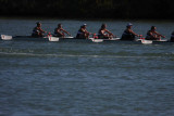 Regatta-5114.jpg