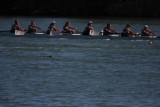 Regatta-5124.jpg