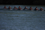 Regatta-5125.jpg
