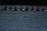 Regatta-5127.jpg