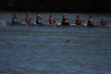 Regatta-5128.jpg