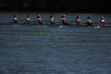 Regatta-5130.jpg