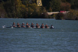 Regatta-5170.jpg