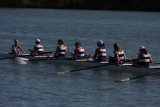 Regatta-5206.jpg