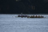 Regatta-5210.jpg