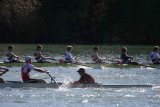 Regatta-5229.jpg