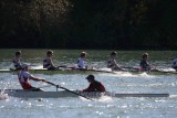 Regatta-5230.jpg