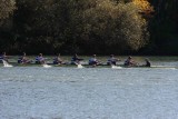 Regatta-5233.jpg
