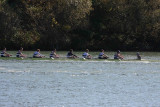 Regatta-5240.jpg
