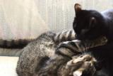 Both are now maneuvering for position.