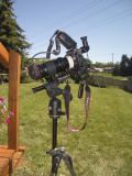 Macro photography set-up
