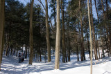 S and S pbase-1007.jpg