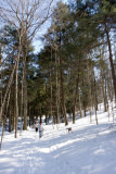 S and S pbase-1101.jpg
