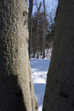 S and S pbase-112.jpg