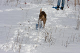 S and S pbase-12.jpg