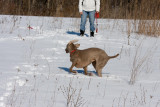 S and S pbase-55.jpg
