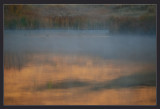 Early Morning Mist