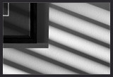 Light