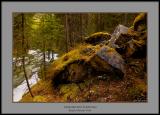 Glacial Erratics?