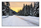 Frozen Road- The Bow Valley Parkway