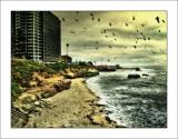 la jolla beach1.jpg