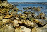 la jolla beach rocks.jpg