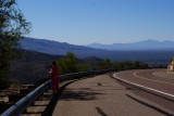 DOROTHY LOOKING AT A CANYON FROM A MOUNT LEMMON LOOKOUT