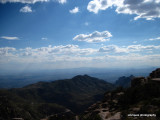 ON MT. LEMMON