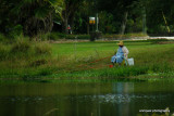 next to the arboretum.