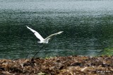 RAINY TAKE OFF