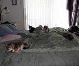 The 4 some