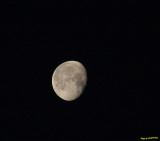 031409 Moon