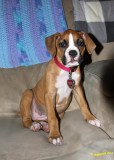 Addie posin