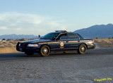 NHP Crusier