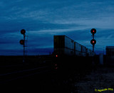 Hodge signals